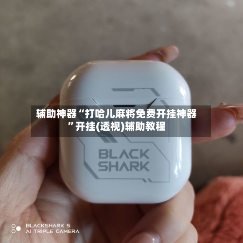 辅助神器“打哈儿麻将免费开挂神器	”开挂(透视)辅助教程-第2张图片
