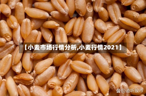 【小麦市场行情分析,小麦行情2021】-第3张图片