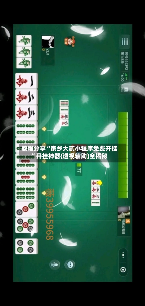 教程分享“家乡大贰小程序免费开挂”开挂神器{透视辅助}全揭秘-第2张图片