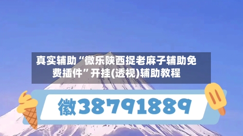 真实辅助“微乐陕西捉老麻子辅助免费插件	”开挂(透视)辅助教程-第2张图片
