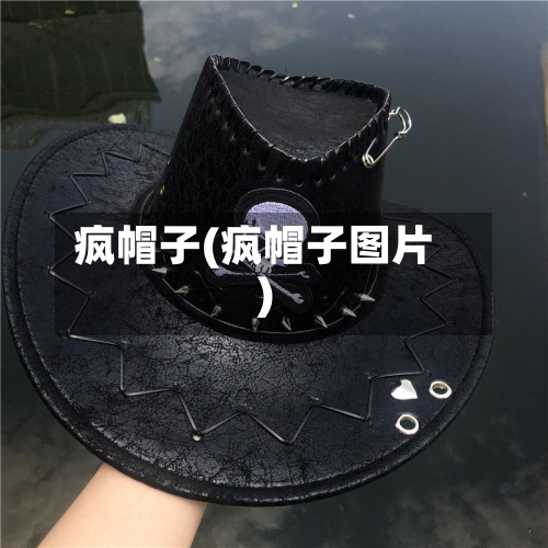 疯帽子(疯帽子图片)-第2张图片