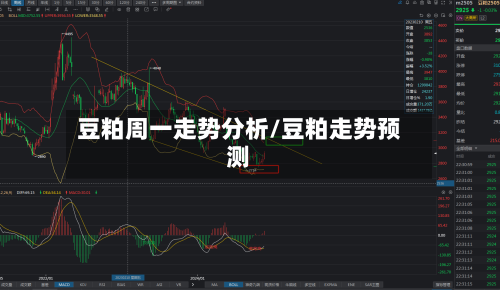 豆粕周一走势分析/豆粕走势预测