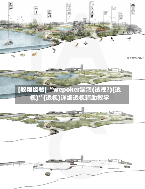 [教程经验] “wepoker漏洞(透视?)(透视)”(透视)详细透视辅助教学-第2张图片