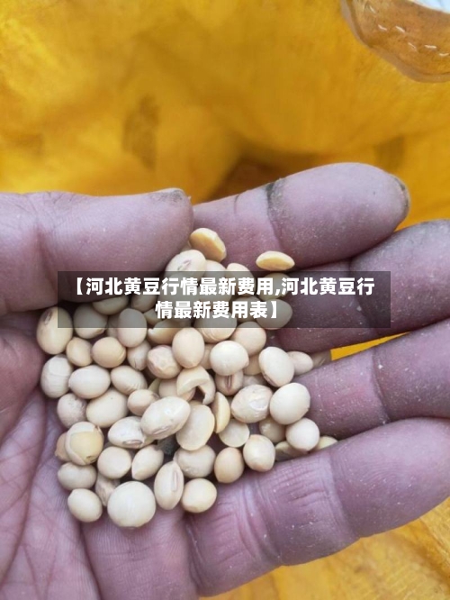 【河北黄豆行情最新费用,河北黄豆行情最新费用表】