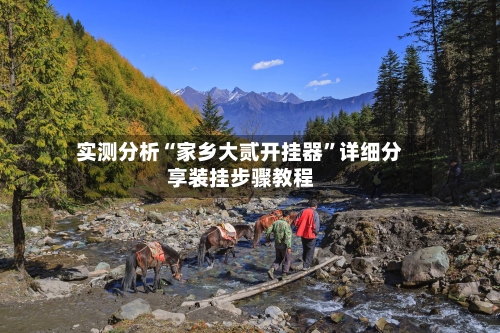 实测分析“家乡大贰开挂器”详细分享装挂步骤教程-第2张图片