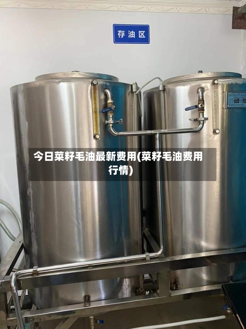 今日菜籽毛油最新费用(菜籽毛油费用行情)-第2张图片