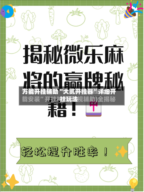 万能开挂辅助“大贰开挂器”详细开挂玩法