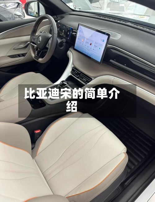 比亚迪宋的简单介绍