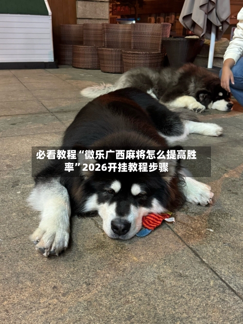 必看教程“微乐广西麻将怎么提高胜率”2026开挂教程步骤-第3张图片