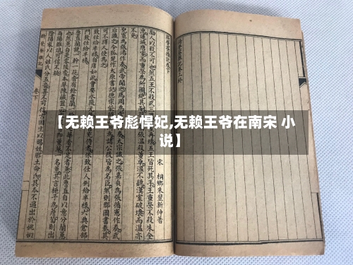 【无赖王爷彪悍妃,无赖王爷在南宋 小说】