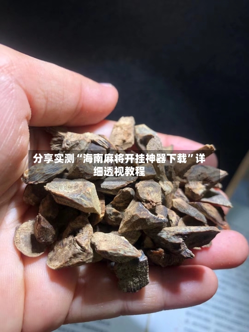 分享实测“海南麻将开挂神器下载”详细透视教程