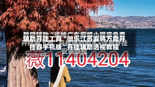 辅助开挂工具“微乐江苏麻将万能开挂器手机版	”开挂辅助透视教程-第3张图片