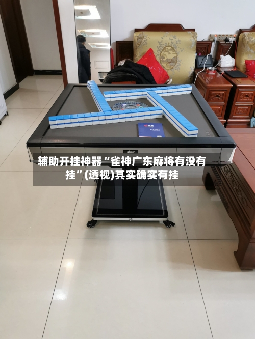 辅助开挂神器“雀神广东麻将有没有挂”(透视)其实确实有挂-第2张图片