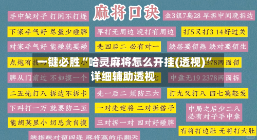 一键必胜“哈灵麻将怎么开挂(透视)”详细辅助透视-第2张图片