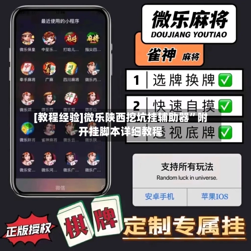 [教程经验]微乐陕西挖坑挂辅助器	”附开挂脚本详细教程-第2张图片