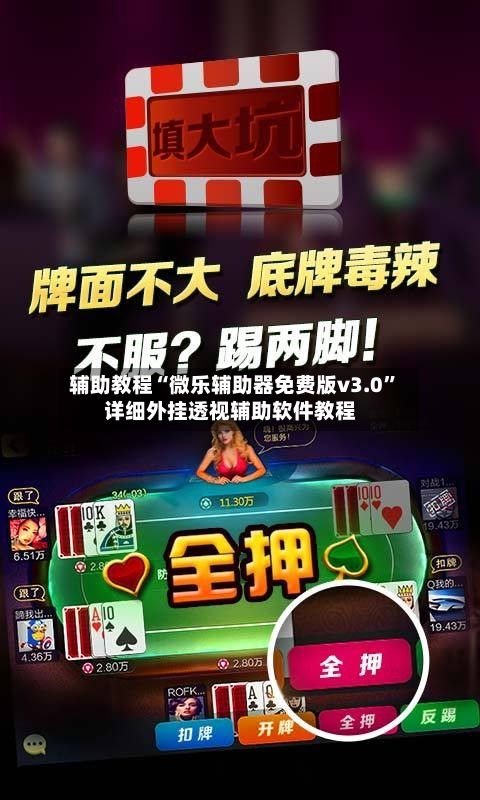 辅助教程“微乐辅助器免费版v3.0”详细外挂透视辅助软件教程