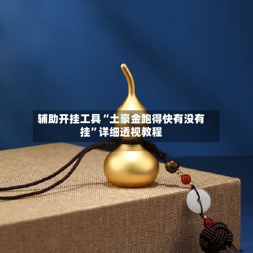 辅助开挂工具“土豪金跑得快有没有挂”详细透视教程-第2张图片