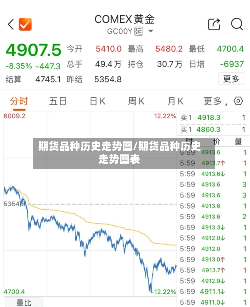 期货品种历史走势图/期货品种历史走势图表-第2张图片