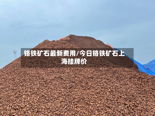 铬铁矿石最新费用/今日铬铁矿石上海挂牌价