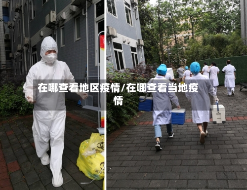 在哪查看地区疫情/在哪查看当地疫情