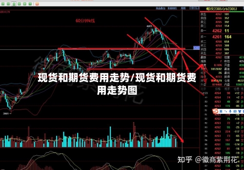 现货和期货费用走势/现货和期货费用走势图
