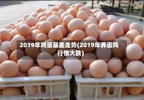2019年鸡蛋基差走势(2019年养蛋鸡行情大跌)-第2张图片