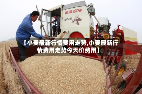 【小麦最新行情费用走势,小麦最新行情费用走势今天价费用】