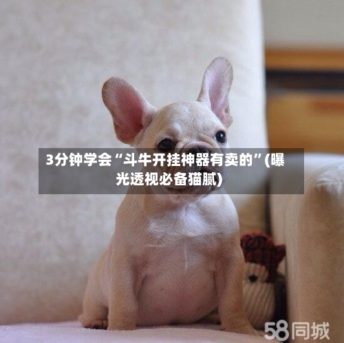 3分钟学会“斗牛开挂神器有卖的”(曝光透视必备猫腻)-第2张图片