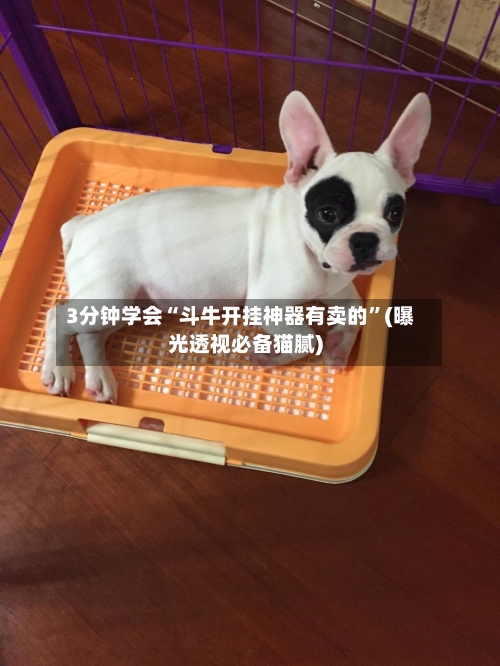 3分钟学会“斗牛开挂神器有卖的”(曝光透视必备猫腻)-第3张图片