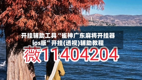 开挂辅助工具“雀神广东麻将开挂器ios版”开挂(透视)辅助教程-第3张图片