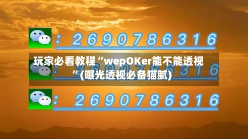 玩家必看教程“wepOKer能不能透视”(曝光透视必备猫腻)-第2张图片