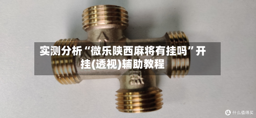 实测分析“微乐陕西麻将有挂吗”开挂(透视)辅助教程-第3张图片