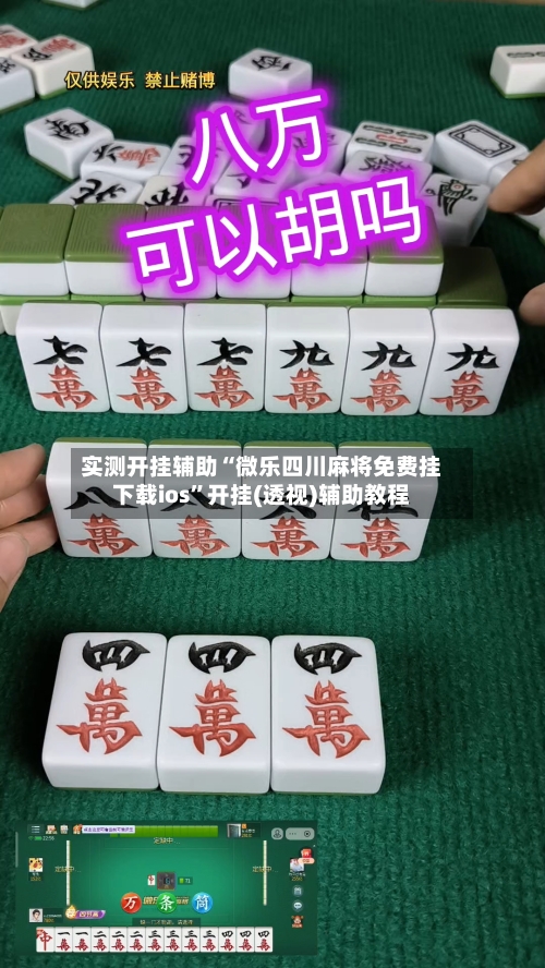 实测开挂辅助“微乐四川麻将免费挂下载ios”开挂(透视)辅助教程-第2张图片