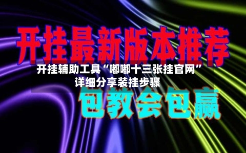开挂辅助工具“嘟嘟十三张挂官网”详细分享装挂步骤-第3张图片