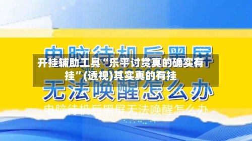 开挂辅助工具“乐平讨赏真的确实有挂”(透视)其实真的有挂-第2张图片