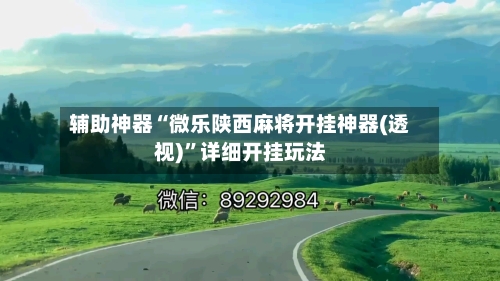 辅助神器“微乐陕西麻将开挂神器(透视)”详细开挂玩法