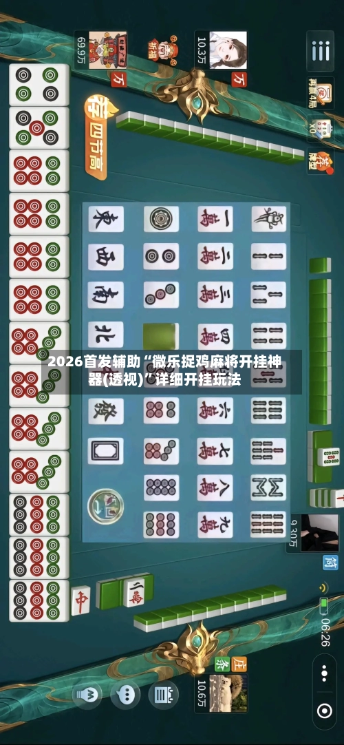 2026首发辅助“微乐捉鸡麻将开挂神器(透视)”详细开挂玩法-第3张图片