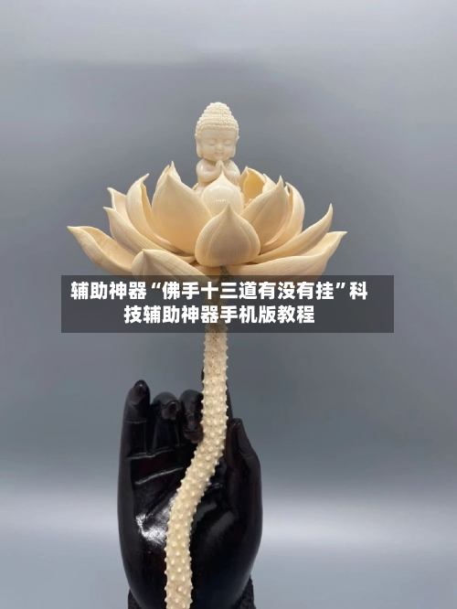 辅助神器“佛手十三道有没有挂”科技辅助神器手机版教程-第2张图片