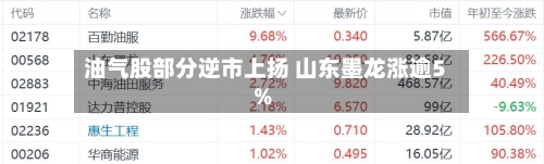 油气股部分逆市上扬 山东墨龙涨逾5%