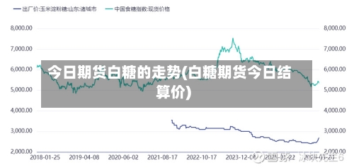 今日期货白糖的走势(白糖期货今日结算价)