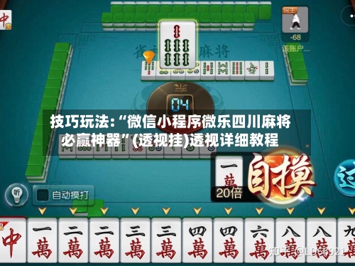 技巧玩法:“微信小程序微乐四川麻将必赢神器	”(透视挂)透视详细教程-第2张图片
