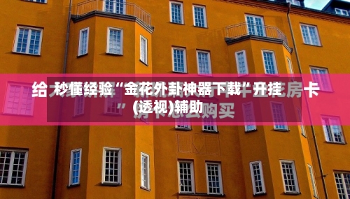 秒懂经验“金花外卦神器下载	”开挂(透视)辅助-第3张图片