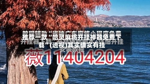 推荐一款“哈灵麻将开挂神器免费下载”(透视)其实确实有挂