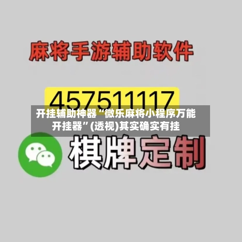 开挂辅助神器“微乐麻将小程序万能开挂器”(透视)其实确实有挂-第3张图片
