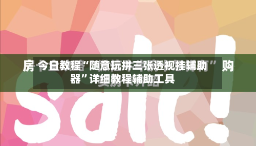 今日教程“随意玩拼三张透视挂辅助器”详细教程辅助工具