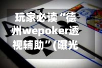 玩家必读“德州wepoker透视辅助”(曝光透视必备猫腻)-第2张图片