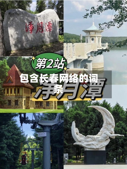 包含长春网络的词条