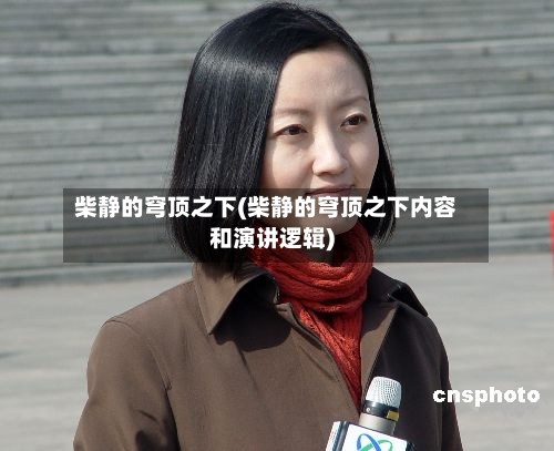 柴静的穹顶之下(柴静的穹顶之下内容和演讲逻辑)-第3张图片