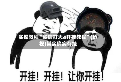 实操教程“微信打大a开挂教程”(透视)其实确实有挂