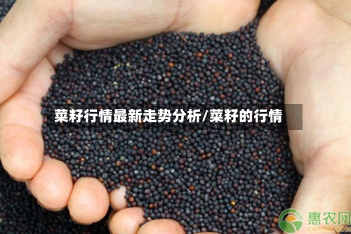 菜籽行情最新走势分析/菜籽的行情-第2张图片